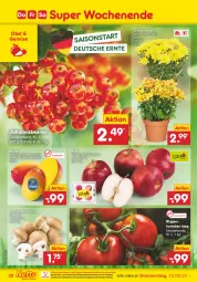 Gazetka promocyjna Netto Marken-Discount - Filial-Angebote - Gazetka - ważna od 25.06 do 25.06.2022 - strona 28 - produkty: apfel, asti, beere, beeren, braun, champignon, chrysanthemen, eis, johannisbeere, Johannisbeeren, mango, ndk, obst, reis, rispentomaten, Schal, Schale, Ti, tomate, tomaten, topf, versandkostenfrei