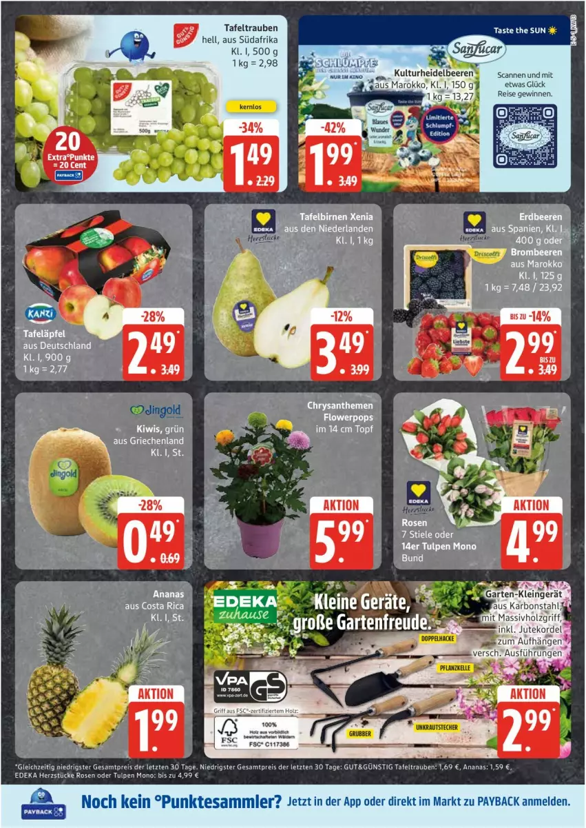 Aktueller Prospekt Edeka - Prospekte - von 24.03 bis 29.03.2025 - strona 5 - produkty: ananas, beere, beeren, eis, elle, erde, heidelbeere, heidelbeeren, Holz, massivholz, reis, rosen, tafeltrauben, Ti, trauben, ZTE