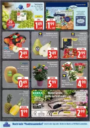 Gazetka promocyjna Edeka - Prospekte - Gazetka - ważna od 29.03 do 29.03.2025 - strona 5 - produkty: ananas, beere, beeren, eis, elle, erde, heidelbeere, heidelbeeren, Holz, massivholz, reis, rosen, tafeltrauben, Ti, trauben, ZTE