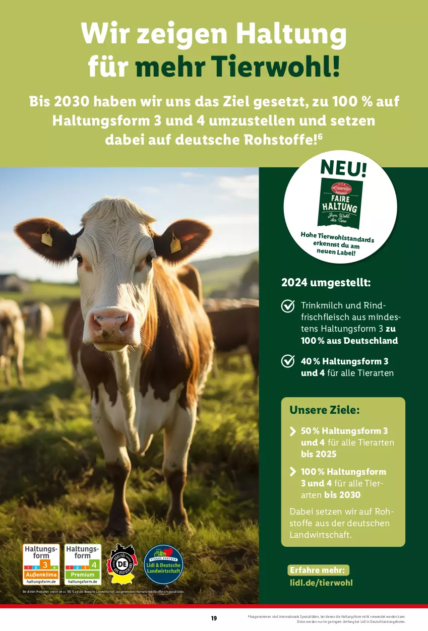 Aktueller Prospekt Lidl - Grillmagazin - von 20.04 bis 19.05.2024 - strona 19 - produkty: angebot, angebote, eis, elle, erde, fleisch, milch, rind, rindfleisch, ring, rwe, Spezi, Ti