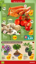Gazetka promocyjna Penny - Prospekte - Gazetka - ważna od 11.05 do 11.05.2024 - strona 3 - produkty: bio, eis, gin, im 9-cm-topf, Kraut, petunie, pflanze, Schal, Schale, tomate, topf, zucchini