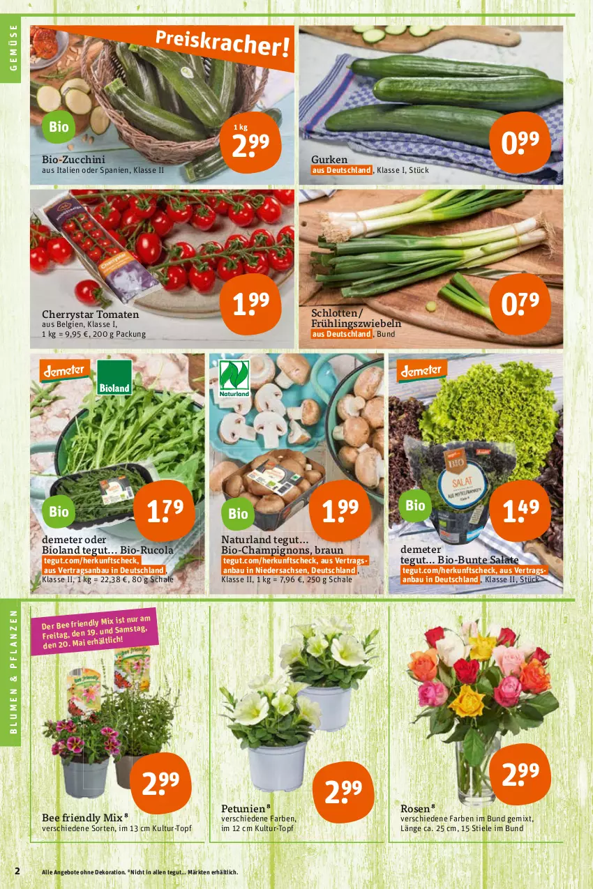 Aktueller Prospekt Tegut - Angebote der Woche - von 15.05 bis 20.05.2023 - strona 4 - produkty: angebot, angebote, Bau, bio, bio-zucchini, bioland, blume, blumen, braun, bunte salate, champignon, champignons, cola, dekoration, gurke, gurken, LG, natur, naturland, petunie, petunien, pflanze, pflanzen, rosen, rucola, sac, salat, salate, Schal, Schale, Ti, tomate, tomaten, topf, zucchini, zwiebel, zwiebeln