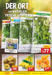 Gazetka promocyjna Netto Marken-Discount - Filial-Angebote - Gazetka - ważna od 19.02 do 19.02.2022 - strona 4 - produkty: asti, banane, bananen, bio, bio-bananen, eis, kiwi, Kiwi Gold, kräuter, mandarine, mandarinen, ndk, petersilie, reis, Ti, versandkostenfrei