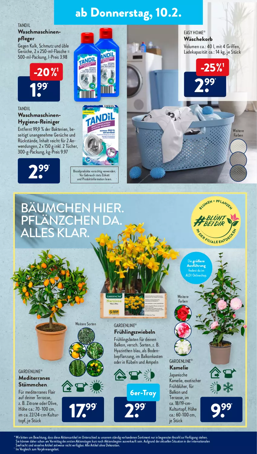 Aktueller Prospekt AldiSud - ALDI Aktuell - von 07.02 bis 12.02.2022 - strona 21 - produkty: aldi, alle artikel ohne dekoration, angebot, bio, biozidprodukte, deka, dekoration, eis, elle, flasche, gardenline®, gin, hygiene-reiniger, korb, kulturtopf, olive, Rauch, reiniger, reis, resa, rwe, Ti, tisch, topf, tücher, wäschekorb, waschmaschine, waschmaschinen, zitrone, ZTE, zwiebel, zwiebeln