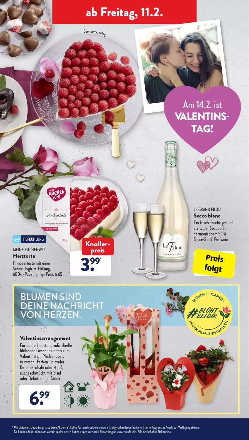 Aktueller Prospekt AldiSud - ALDI Aktuell - von 07.02 bis 12.02.2022 - strona 29 - produkty: alle artikel ohne dekoration, bier, blume, blumen, dekoration, ecco, eis, elle, frucht, gin, himbeer, joghur, joghurt, knallerpreis, kuchen, LG, phalaenopsis, reis, sahne, Schal, Schale, Ti, topf, torte, tuc, wein, ZTE