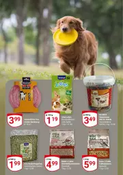 Gazetka promocyjna Globus - Prospekte - Gazetka - ważna od 29.04 do 29.04.2023 - strona 2 - produkty: apfel, blume, blumen, eimer, erde, erdnuss, Heu, kissen, kraft, natur, nuss, snack, sonnenblume, sonnenblumen, Sonnenblumenkerne, spielzeug, vita, vitakraft, Yo