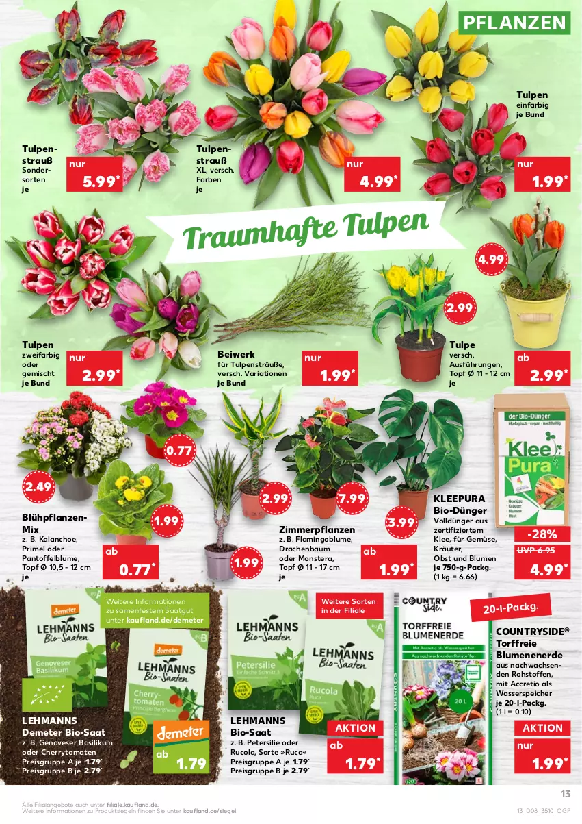 Aktueller Prospekt Kaufland - von 24.02 bis 02.03.2022 - strona 13 - produkty: ACC, angebot, angebote, basilikum, Bau, bio, blume, blumen, cherrytomaten, cola, dünger, eis, erde, genovese, HP, Kalanchoe, kräuter, monster, Monstera, obst, petersilie, pflanze, pflanzen, reis, Ria, rucola, Ti, tomate, tomaten, topf, wasser