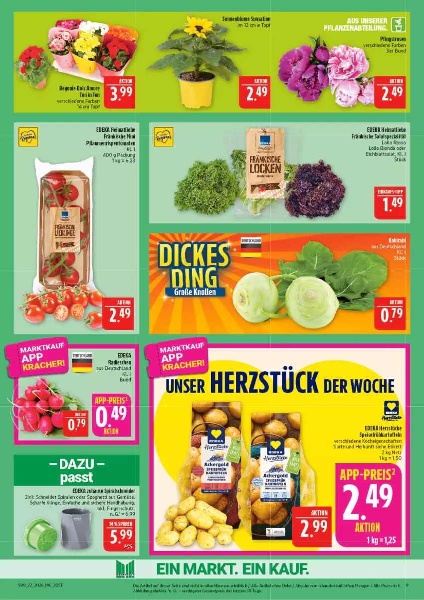 Aktueller Prospekt Marktkauf - Prospekt - von 24.05 bis 30.05.2026 - strona 9 - produkty: ackergold, Begonie, bio, blume, deka, Eichblattsalat, eis, Frühkartoffeln, kartoffel, kartoffeln, Pfingstrosen, radieschen, reis, rispentomaten, rosen, salat, sonnenblume, spaghetti, speisefrühkartoffeln, Spezi, Spiralschneider, Ti, tomate, tomaten, topf, ZTE