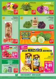 Gazetka promocyjna Marktkauf - Prospekt - Gazetka - ważna od 30.05 do 30.05.2026 - strona 9 - produkty: ackergold, Begonie, bio, blume, deka, Eichblattsalat, eis, Frühkartoffeln, kartoffel, kartoffeln, Pfingstrosen, radieschen, reis, rispentomaten, rosen, salat, sonnenblume, spaghetti, speisefrühkartoffeln, Spezi, Spiralschneider, Ti, tomate, tomaten, topf, ZTE