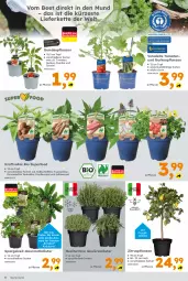 Gazetka promocyjna - Gazetka - ważna od 04.05 do 04.05.2024 - strona 4 - produkty: auer, bio, frucht, gewürz, gurke, gurken, kartoffel, kartoffeln, Kette, kraft, kräuter, kräutern, mit frucht, paprika, pflanze, pflanzen, spargel, Süßkartoffeln, tomate, tomaten, topf