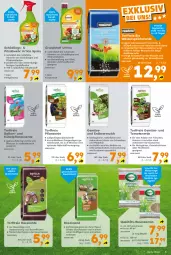 Gazetka promocyjna  - Gazetka - ważna od 04.05 do 04.05.2024 - strona 5 - produkty: auer, aust, Bau, beutel, bio, dünger, eis, erde, flasche, HP, Kraut, kräuter, kräutern, kübelpflanzen, Kübelpflanzenerde, obst, pflanze, pflanzen, pflanzerde, rasen, Rasenerde, rasensamen, Rauch, ring, sac, senf, Spezi, sprühflasche, Ti, tisch, tomate, tomaten, usb, wasser