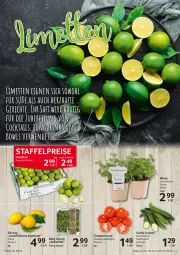 Gazetka promocyjna Selgros - Food - Gazetka - ważna od 03.08 do 03.08.2022 - strona 3 - produkty: beutel, eis, gurke, LG, limette, limetten, Mett, metten, minze, reis, rum, spinat, Ti, tomate, tomaten, zitrone