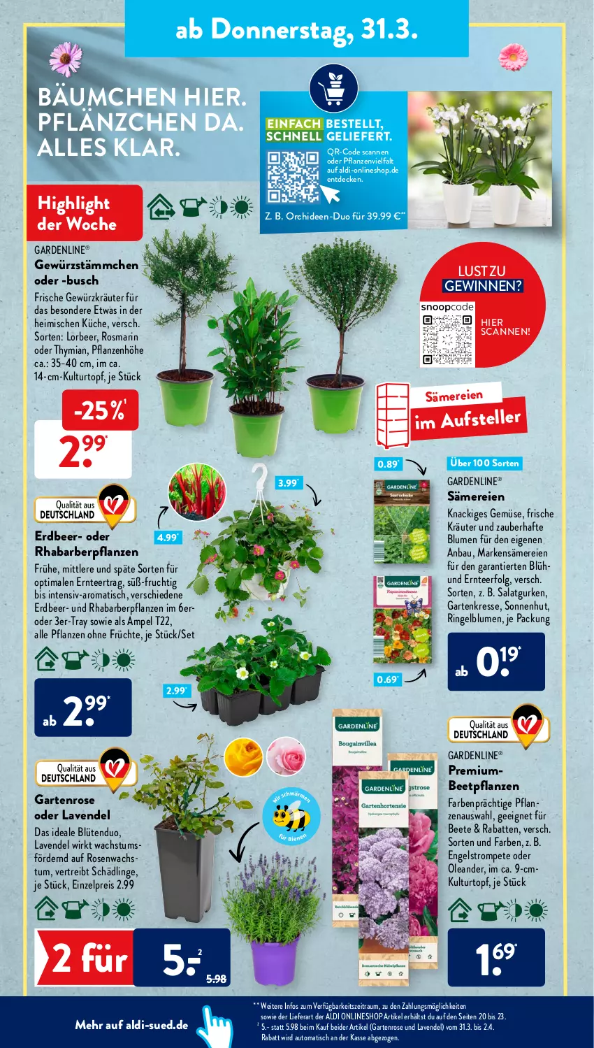 Aktueller Prospekt AldiSud - ALDI Aktuell - von 28.03 bis 02.04.2022 - strona 40 - produkty: aldi, auto, Bau, beetpflanzen, blume, blumen, Blüte, decke, eis, elle, Engel, frucht, früchte, gardenline®, Garten, Gartenkresse, gewürz, gurke, gurken, kräuter, küche, kulturtopf, lavendel, LG, orchidee, orchideen, pflanze, pflanzen, reis, rhabarber, ring, rosen, rosmarin, salat, Salatgurke, salatgurken, tee, teller, Ti, tisch, topf