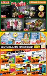 Gazetka promocyjna Norma - Norma - Gazetka - ważna od 25.12 do 25.12.2023 - strona 12 - produkty: Blüte, Bromelie, dekoration, duschgel, eimer, eis, ente, erdnuss, flasche, honig, Kette, Knödel, kokos, kokosnuss, Konifere, küche, Küchen, küchentücher, Kugel, LG, mac, Meisenknödel, nudel, nudeln, nuss, orchidee, orchideen, papier, pfirsich, reis, reiss, Schal, Schale, sekt, Ti, toilettenpapier, topf, tücher, übertopf, Vase, vita, weihnachten
