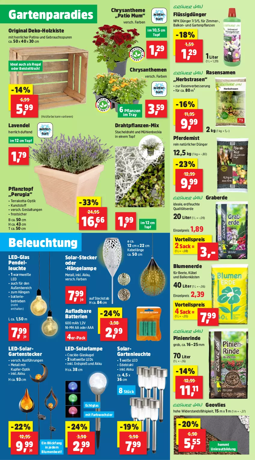 Aktueller Prospekt Thomas Philipps - von 12.08 bis 17.08.2024 - strona 3 - produkty: akku, arla, batterie, batterien, beistelltisch, beleuchtung, blume, blumen, blumenerde, chrysanthemen, dell, Draht, dünger, edelstahl, eis, elle, erde, flüssigdünger, Garten, Gartenpflanze, gin, Glaskugel, Holz, Kraut, Kugel, Lampe, lavendel, leds, Leuchte, Pendelleuchte, pflanze, pflanzen, Pflanztopf, rasen, rasensamen, Rauch, regal, reis, rind, sac, solarlampe, Ti, tisch, topf, vorteilspreis