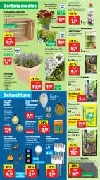 Gazetka promocyjna Thomas Philipps - Gazetka - ważna od 17.08 do 17.08.2024 - strona 3 - produkty: akku, arla, batterie, batterien, beistelltisch, beleuchtung, blume, blumen, blumenerde, chrysanthemen, dell, Draht, dünger, edelstahl, eis, elle, erde, flüssigdünger, Garten, Gartenpflanze, gin, Glaskugel, Holz, Kraut, Kugel, Lampe, lavendel, leds, Leuchte, Pendelleuchte, pflanze, pflanzen, Pflanztopf, rasen, rasensamen, Rauch, regal, reis, rind, sac, solarlampe, Ti, tisch, topf, vorteilspreis