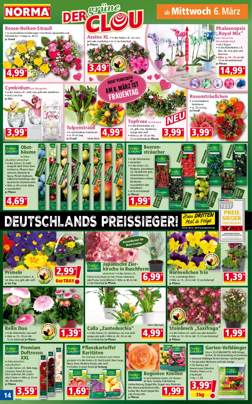 Aktueller Prospekt Norma - Norma - von 04.03 bis 11.03.2024 - strona 14 - produkty: Alcon, apfel, auer, ball, Bau, beere, beeren, Begonie, beutel, Blüte, brombeere, camelia, chia, dünger, eier, eis, elle, Garten, heidelbeere, himbeer, himbeere, johannisbeere, kartoffel, kirsch, kirsche, Kraut, kulturtopf, LG, mentos, obst, orange, perlen, pfirsich, pflanze, pflanzen, pflaume, phalaenopsis, Primeln, reis, reiss, rel, Ria, rosen, stauden, tee, Ti, topf, übertopf, Vase