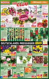 Gazetka promocyjna Norma - Norma - Gazetka - ważna od 11.03 do 11.03.2024 - strona 14 - produkty: Alcon, apfel, auer, ball, Bau, beere, beeren, Begonie, beutel, Blüte, brombeere, camelia, chia, dünger, eier, eis, elle, Garten, heidelbeere, himbeer, himbeere, johannisbeere, kartoffel, kirsch, kirsche, Kraut, kulturtopf, LG, mentos, obst, orange, perlen, pfirsich, pflanze, pflanzen, pflaume, phalaenopsis, Primeln, reis, reiss, rel, Ria, rosen, stauden, tee, Ti, topf, übertopf, Vase