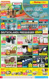 Gazetka promocyjna Norma - Norma - Gazetka - ważna od 11.03 do 11.03.2024 - strona 2 - produkty: akku, arla, auto, Bau, Beba, Bebe, Bewegungssensor, blume, blumen, braun, Brei, creme, deka, dell, edelstahl, eis, elle, ente, fernbedienung, Frosch, Garten, gin, Glaskugel, hocker, Holz, kraft, Kugel, lack, lack matt, Lacke, ladekabel, lebensmittel, leds, Leuchte, leuchten, LG, Mett, Mode, ndk, nuss, Pflanztopf, Pinsel, Pinselset, reis, reiss, Ria, Schal, Schmetterling, schwein, Spiele, Sprühlack, teppich, Ti, Tiere, tisch, topf, usb, wandhalterung, wein, Weißlack, ZTE