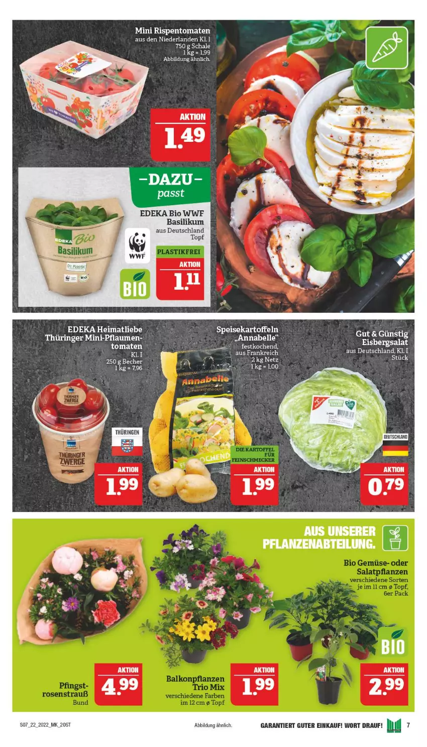 Aktueller Prospekt Marktkauf - Prospekt - von 29.05 bis 04.06.2022 - strona 7 - produkty: basilikum, bio, deka, edeka bio, eis, elle, kartoffel, kartoffeln, Schal, Schale, speisekartoffeln, tee, Ti, tomate, tomaten