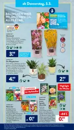 Gazetka promocyjna AldiSud - ALDI Aktuell - Gazetka - ważna od 05.03 do 05.03.2022 - strona 19 - produkty: aldi, alle artikel ohne dekoration, aloe vera, angebot, apfel, Bau, blume, blumen, Blüte, dahlie, decke, dekoration, eis, elle, ente, gardenline®, Garten, Gartenkresse, gin, gurke, gurken, kräuter, kulturtopf, LG, milch, pflanze, pflanzen, Rauch, reis, resa, ring, salat, Salatgurke, salatgurken, spargel, Spezi, Sukkulente, tee, teller, Ti, topf, übertopf, ZTE, zwiebel, zwiebeln