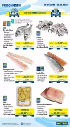 Gazetka promocyjna Metro - Wochen-Angebote - Gazetka - ważna od 31.05 do 31.05.2025 - strona 5 - produkty: Abtei, angebot, angebote, aqua, backfisch, decke, Deckel, Dorade, dorade royal, eis, filet, filets, fisch, fleisch, frischfisch, lachs, lachsfilet, lamm, lammkeule, lammlachse, Metro, reis, rwe, Schal, Schale, steak, steaks, Ti, tiefpreis, Wild