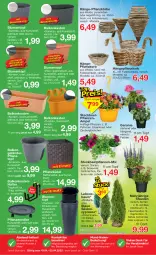 Gazetka promocyjna Jawoll - Prospekte - Gazetka - ważna od 23.04 do 23.04.2022 - strona 16 - produkty: ball, Bau, beetpflanzen, blume, blumen, braun, calibrachoa, creme, dell, eis, elle, geranie, Heu, korb, kraft, Kraut, Mode, petunie, petunien, pflanze, pflanzen, Pflanztopf, quad, rel, ritter, Roller, Schütze, stauden, Ti, tisch, topf, zauberglöckchen