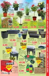 Gazetka promocyjna Jawoll - Prospekte - Gazetka - ważna od 23.04 do 23.04.2022 - strona 7 - produkty: apfel, Container, flasche, Garten, Gerber, Gewächshaus, kirsch, kirsche, obst, olive, oliven, pflanze, pflanzen, Pflanztopf, pflaume, Rauch, rosen, Schmuck, schubladen, sprühflasche, Ti, topf, wasser