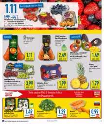 Gazetka promocyjna Diska - Prospekte - Gazetka - ważna od 22.01 do 22.01.2022 - strona 6 - produkty: ananas, avocado, beere, beeren, bio, Blutorange, braun, deka, eis, erdbeere, erdbeeren, himbeer, himbeere, himbeeren, mandarine, mandarinen, mango, möhren, orange, orangen, Physalis, reis, rosen, Rosenkohl, saft, Schal, Schale, tafeläpfel, tafeltrauben, Ti, tiefpreis, trauben