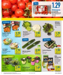 Gazetka promocyjna Diska - Prospekte - Gazetka - ważna od 22.01 do 22.01.2022 - strona 7 - produkty: ackergold, aktionspreis, ball, bio, blume, blumen, blumenkohl, burger, deka, edeka bio, eis, fisch, gurke, gurken, kartoffel, kartoffeln, pflaume, pflaumen, reis, salat, Salatgurke, Schal, Schale, speisekartoffeln, Ti, tomate, tomaten