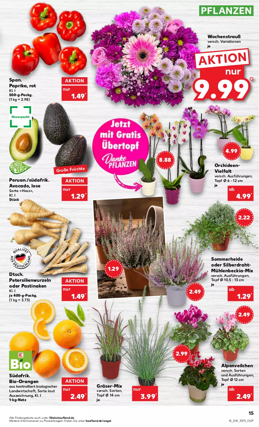 Aktueller Prospekt Kaufland - von 13.10 bis 19.10.2022 - strona 15 - produkty: angebot, angebote, asti, avocado, bio, Draht, orange, orangen, orchidee, orchideen, paprika, petersilie, pflanze, pflanzen, Ria, Ti, topf, topf ø 12 cm, trolli