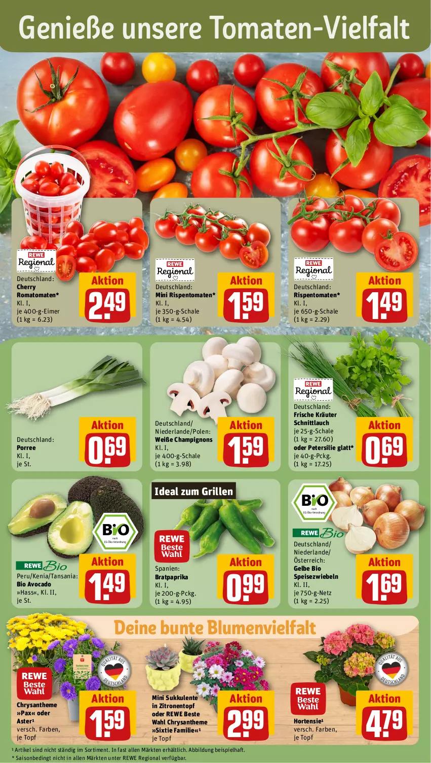 Aktueller Prospekt Rewe - Prospekte - von 15.07 bis 20.07.2024 - strona 5 - produkty: avocado, bio, blume, blumen, champignon, champignons, eimer, eis, ente, grill, hortensie, ideal zum grillen, kräuter, paprika, Pax, petersilie, rewe beste wahl, rispentomaten, Romatomaten, Schal, Schale, schnittlauch, Speisezwiebeln, Sukkulente, Ti, tomate, tomaten, topf, zitrone, zitronen, zwiebel, zwiebeln