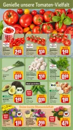 Gazetka promocyjna Rewe - Prospekte - Gazetka - ważna od 20.07 do 20.07.2024 - strona 5 - produkty: avocado, bio, blume, blumen, champignon, champignons, eimer, eis, ente, grill, hortensie, ideal zum grillen, kräuter, paprika, Pax, petersilie, rewe beste wahl, rispentomaten, Romatomaten, Schal, Schale, schnittlauch, Speisezwiebeln, Sukkulente, Ti, tomate, tomaten, topf, zitrone, zitronen, zwiebel, zwiebeln