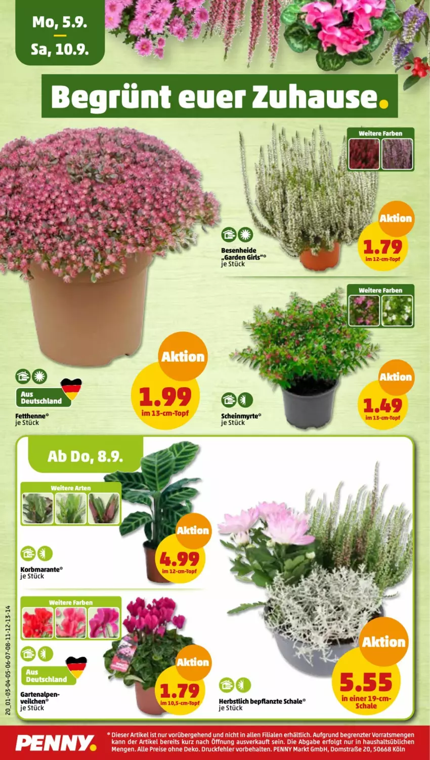 Aktueller Prospekt Penny - Prospekte - von 05.09 bis 10.09.2022 - strona 20 - produkty: eis, Garten, korb, LG, reis, Schal, Schale, Ti, topf, ZTE