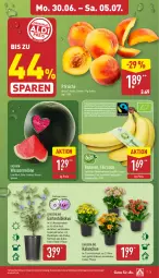 Gazetka promocyjna Aldi Nord - Von Montag - Gazetka - ważna od 05.07 do 05.07.2025 - strona 3 - produkty: auer, banane, bananen, Bau, Bauer, Container, eis, Garten, gin, Kalanchoe, kulturtopf, melone, pfirsich, pfirsiche, pflanze, reis, rel, Ria, rosen, Schal, Schale, Ti, topf, trolli, wasser, wassermelone, ZTE