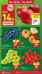 Gazetka promocyjna Aldi Nord - Von Montag - Gazetka - ważna od 05.07 do 05.07.2025 - strona 5 - produkty: beere, beeren, beutel, eis, Elan, heidelbeere, heidelbeeren, himbeer, himbeere, himbeeren, Pink Lady, reis, rum, Schal, Schale, tafeläpfel, tafeltrauben, Ti, tiefpreis, trauben, ZTE