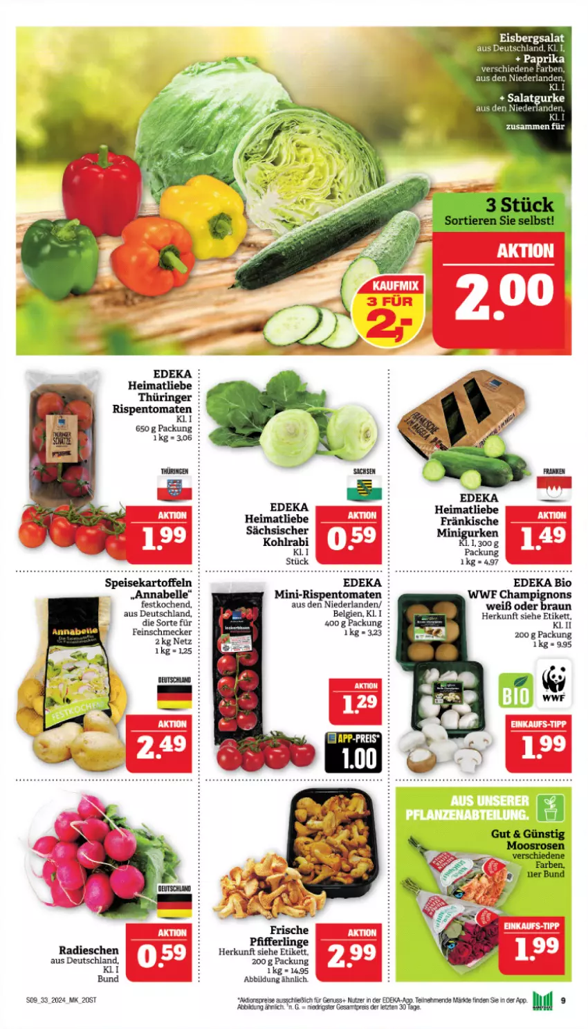 Aktueller Prospekt Marktkauf - Prospekt - von 11.08 bis 17.08.2024 - strona 9 - produkty: aktionspreis, bio, braun, champignon, champignons, deka, duni, edeka bio, eis, eisbergsalat, feinschmecker, gurke, LG, mini-rispentomaten, nuss, Pfifferlinge, radieschen, reis, rispentomaten, salat, Salatgurke, Ti, tomate, tomaten, ZTE