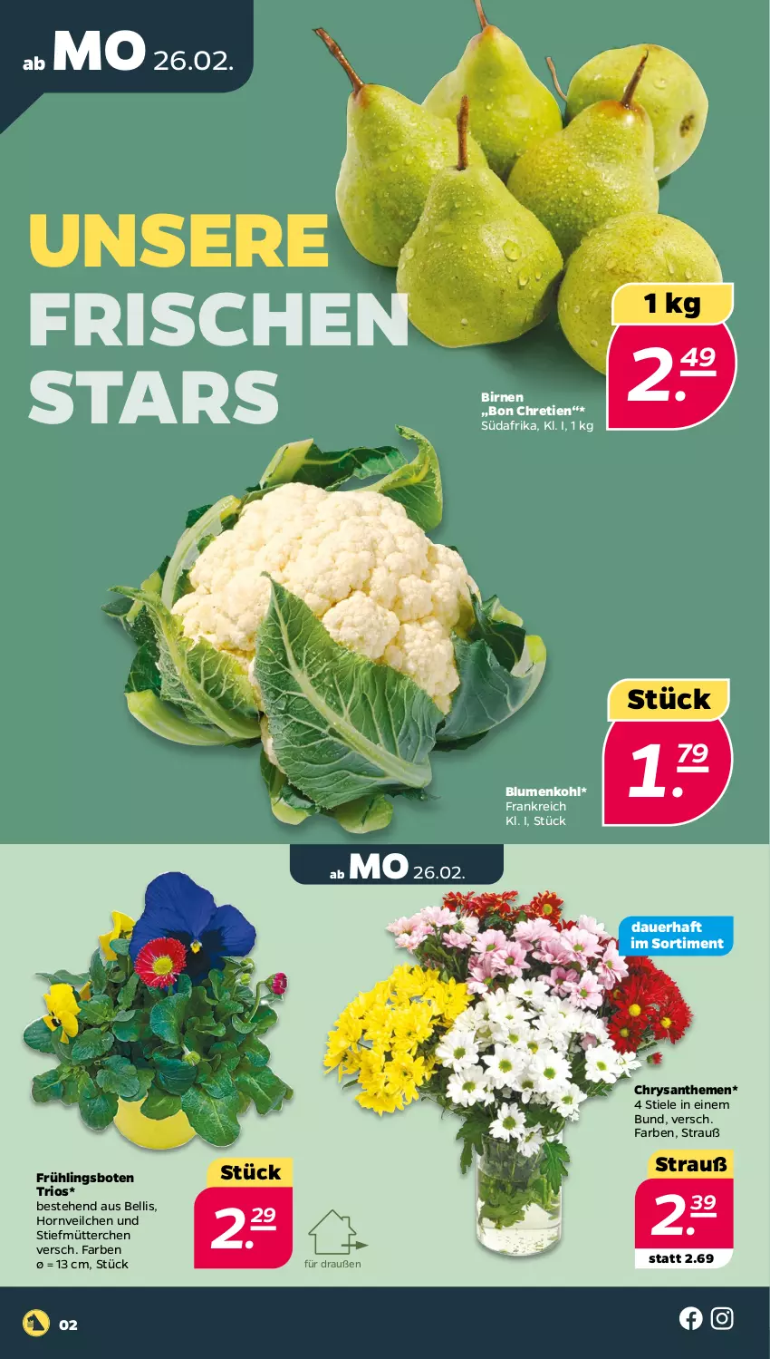 Aktueller Prospekt Netto - Woche 9 - von 26.02 bis 02.03.2024 - strona 2 - produkty: auer, Birnen, blume, blumen, blumenkohl, chrysanthemen, Ti