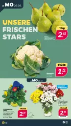 Gazetka promocyjna Netto - Woche 9 - Gazetka - ważna od 02.03 do 02.03.2024 - strona 2 - produkty: auer, Birnen, blume, blumen, blumenkohl, chrysanthemen, Ti