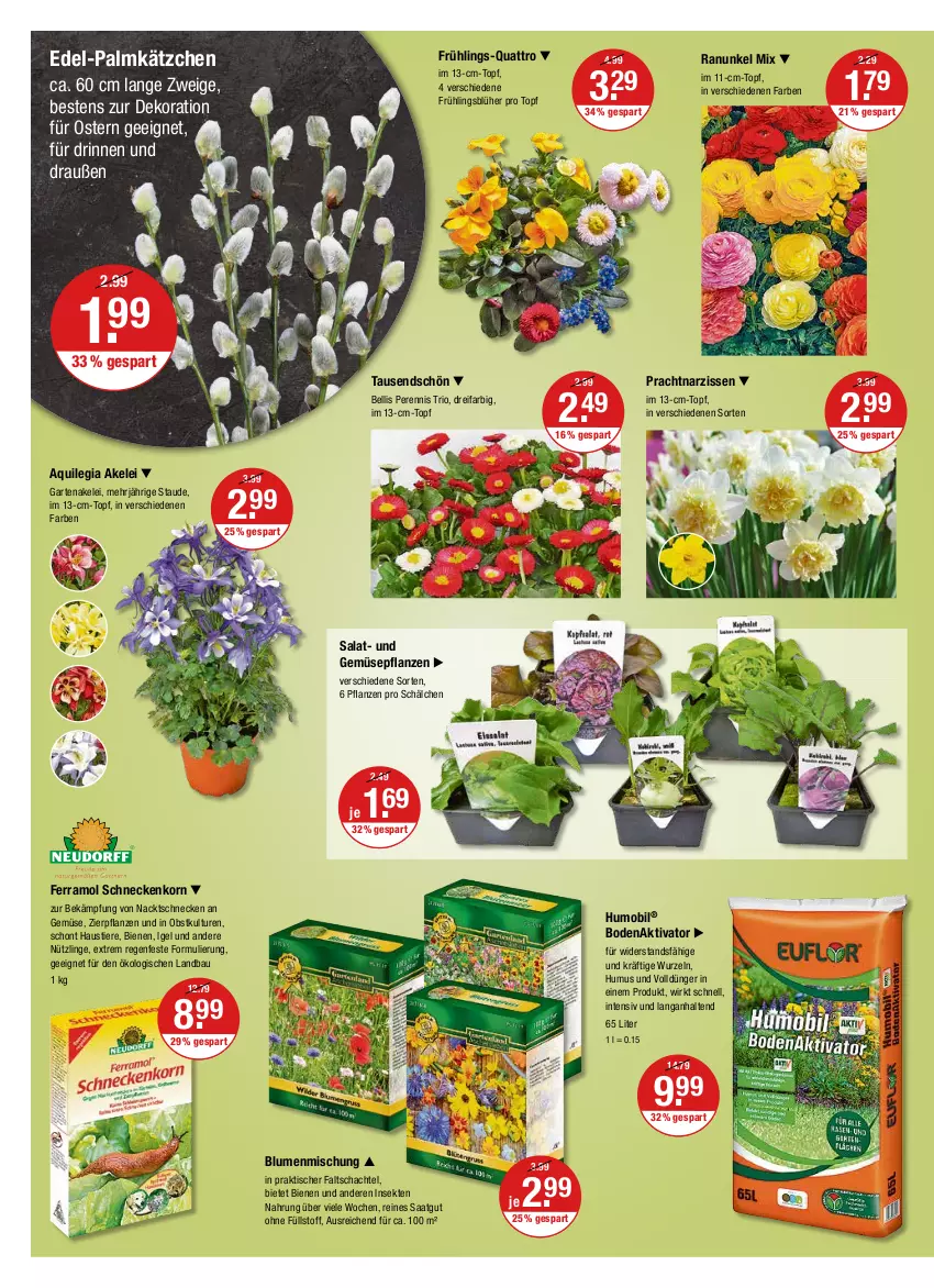 Aktueller Prospekt Vmarkt - V-Markt - von 31.03 bis 06.04.2022 - strona 20 - produkty: aust, Bau, blume, blumen, dekoration, dünger, ferramol schneckenkorn, Garten, Kätzchen, korn, Narzissen, obst, pflanze, pflanzen, salat, schneckenkorn, sekt, Stier, Ti, Tiere, tisch, topf, und gemüse