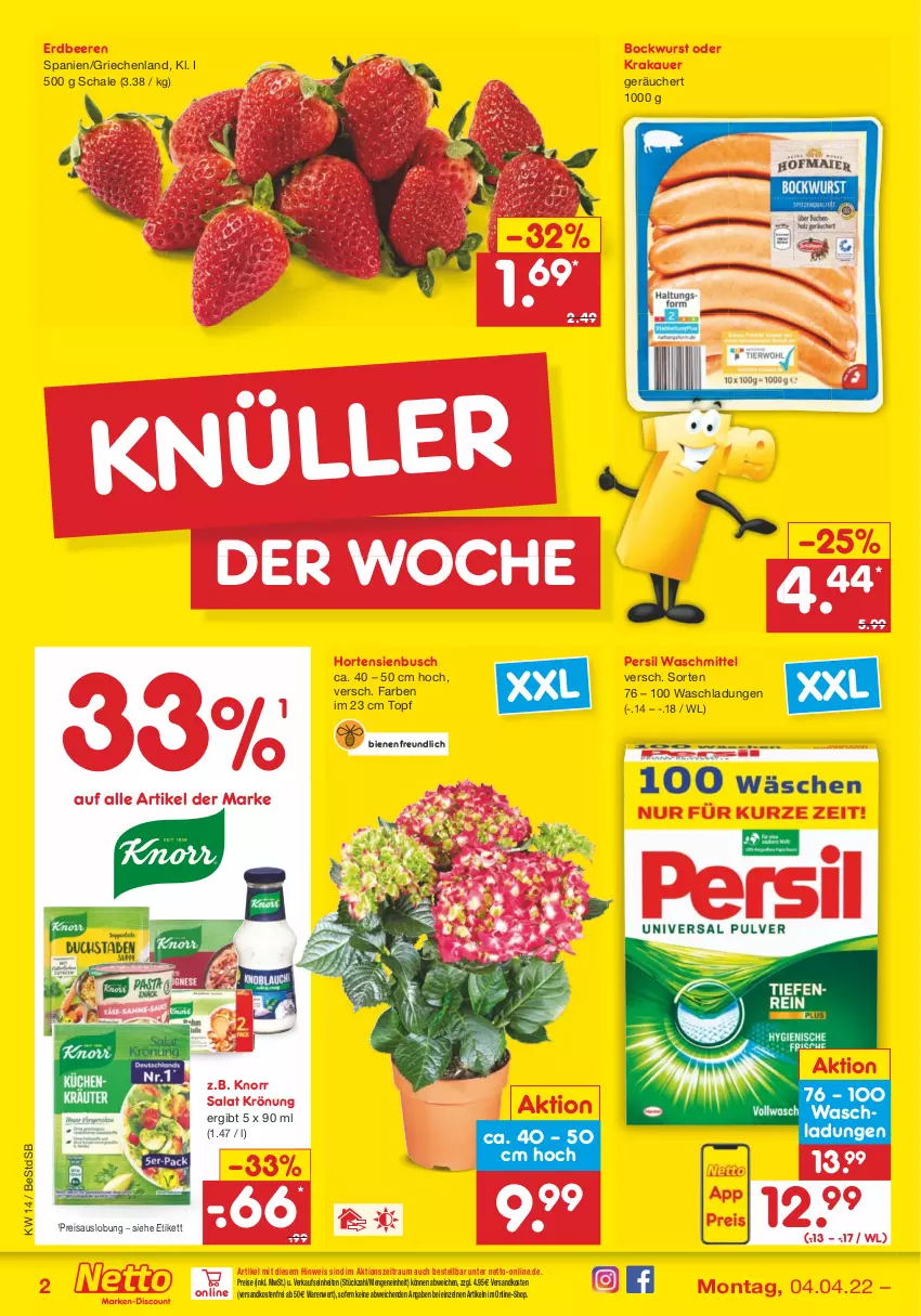 Aktueller Prospekt Netto Marken-Discount - Filial-Angebote - von 04.04 bis 09.04.2022 - strona 2 - produkty: auer, beere, beeren, bockwurst, eis, erdbeere, erdbeeren, hortensie, hortensien, knorr, krakauer, ndk, persil, persil waschmittel, reis, salat, Schal, Schale, Ti, topf, versandkostenfrei, waschmittel, wurst