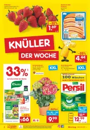 Gazetka promocyjna Netto Marken-Discount - Filial-Angebote - Gazetka - ważna od 09.04 do 09.04.2022 - strona 2 - produkty: auer, beere, beeren, bockwurst, eis, erdbeere, erdbeeren, hortensie, hortensien, knorr, krakauer, ndk, persil, persil waschmittel, reis, salat, Schal, Schale, Ti, topf, versandkostenfrei, waschmittel, wurst