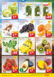 Gazetka promocyjna Netto Marken-Discount - Filial-Angebote - Gazetka - ważna od 09.04 do 09.04.2022 - strona 5 - produkty: angebot, asti, avocado, banane, bananen, braun, champignon, champignons, cocktail, dip, dressing, eis, eisbergsalat, elle, fisch, fleisch, kartoffel, kiwi, kohlrabi, kräuter, lamm, mango, orange, orangen, quark, rispentomaten, salat, sauce, saucen, Schal, Schale, schnitten, smoothie, smoothies, suppe, suppen, tee, Ti, tomate, tomaten, trauben, ZTE