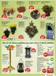 Gazetka promocyjna Vmarkt - Prospekte - Gazetka - ważna od 29.10 do 29.10.2025 - strona 19 - produkty: beere, beeren, Behälter, bio, blume, blumen, blumenöl, Blüte, bügel, dekoration, eis, elle, erde, Garten, hafer, Kette, LED Lichterkette, lichterkette, mac, müsli, natur, pflanze, pflanzen, Ria, rind, rinder, Schal, Schale, Schmuck, sekt, sonnenblume, sonnenblumen, Sonnenblumenkerne, Streufutter, Ti, timer, topf, Vogelfutter