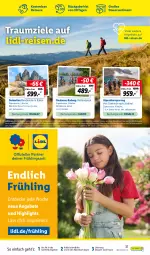 Gazetka promocyjna Lidl - Aktuelle Onlineshop-Highlights - Gazetka - ważna od 30.04 do 30.04.2024 - strona 37 - produkty: angebot, angebote, auer, buch, decke, eis, korb, passo, reis, reiseveranstalter, ring, Ti