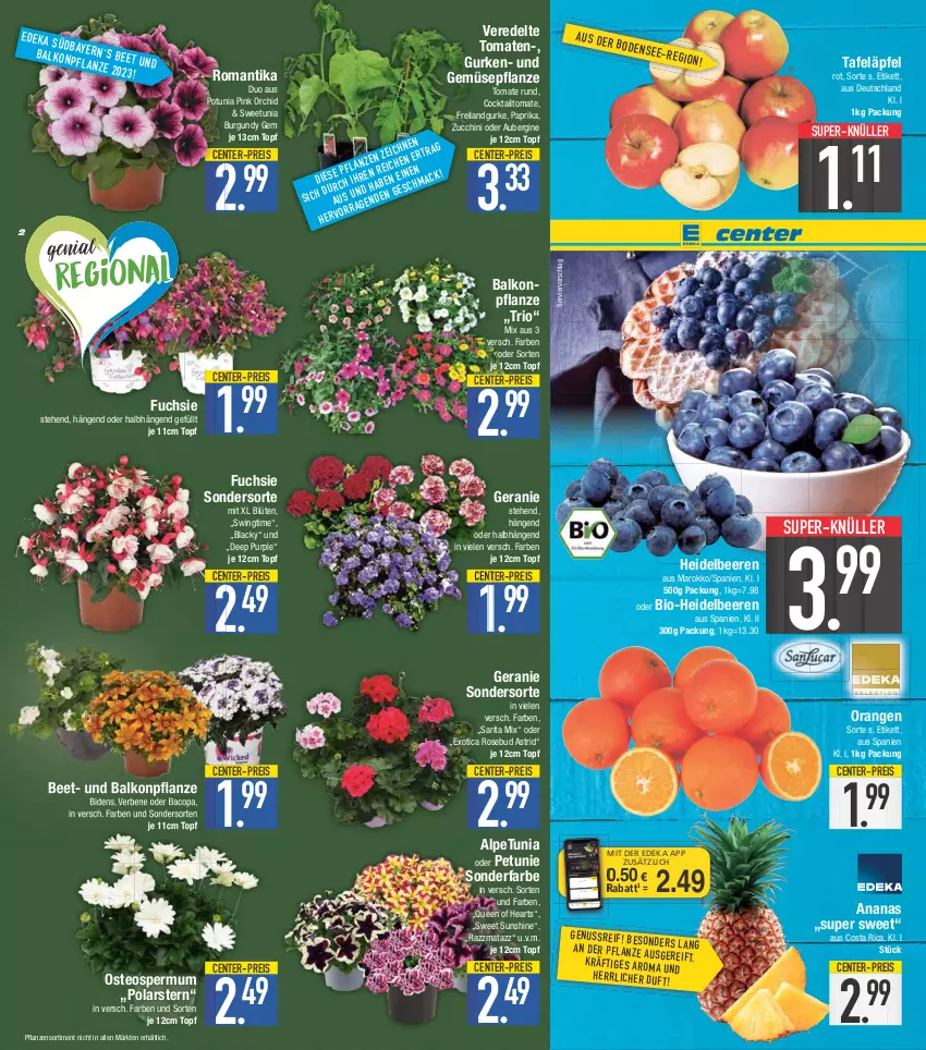 Aktueller Prospekt E Center - Angebote der Woche - von 24.04 bis 29.04.2023 - strona 2 - produkty: ananas, Astrid, aubergine, beere, beeren, bio, Blüte, cocktail, coupon, deka, eis, ente, geranie, gin, gurke, gurken, heidelbeere, heidelbeeren, lack, mac, nuss, orange, orangen, paprika, petunie, pflanze, pflanzen, reis, sunshine, super-knüller, tafeläpfel, Ti, tomate, tomaten, topf, und gemüse, zucchini