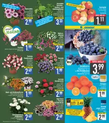 Gazetka promocyjna E Center - Angebote der Woche - Gazetka - ważna od 29.04 do 29.04.2023 - strona 2 - produkty: ananas, Astrid, aubergine, beere, beeren, bio, Blüte, cocktail, coupon, deka, eis, ente, geranie, gin, gurke, gurken, heidelbeere, heidelbeeren, lack, mac, nuss, orange, orangen, paprika, petunie, pflanze, pflanzen, reis, sunshine, super-knüller, tafeläpfel, Ti, tomate, tomaten, topf, und gemüse, zucchini