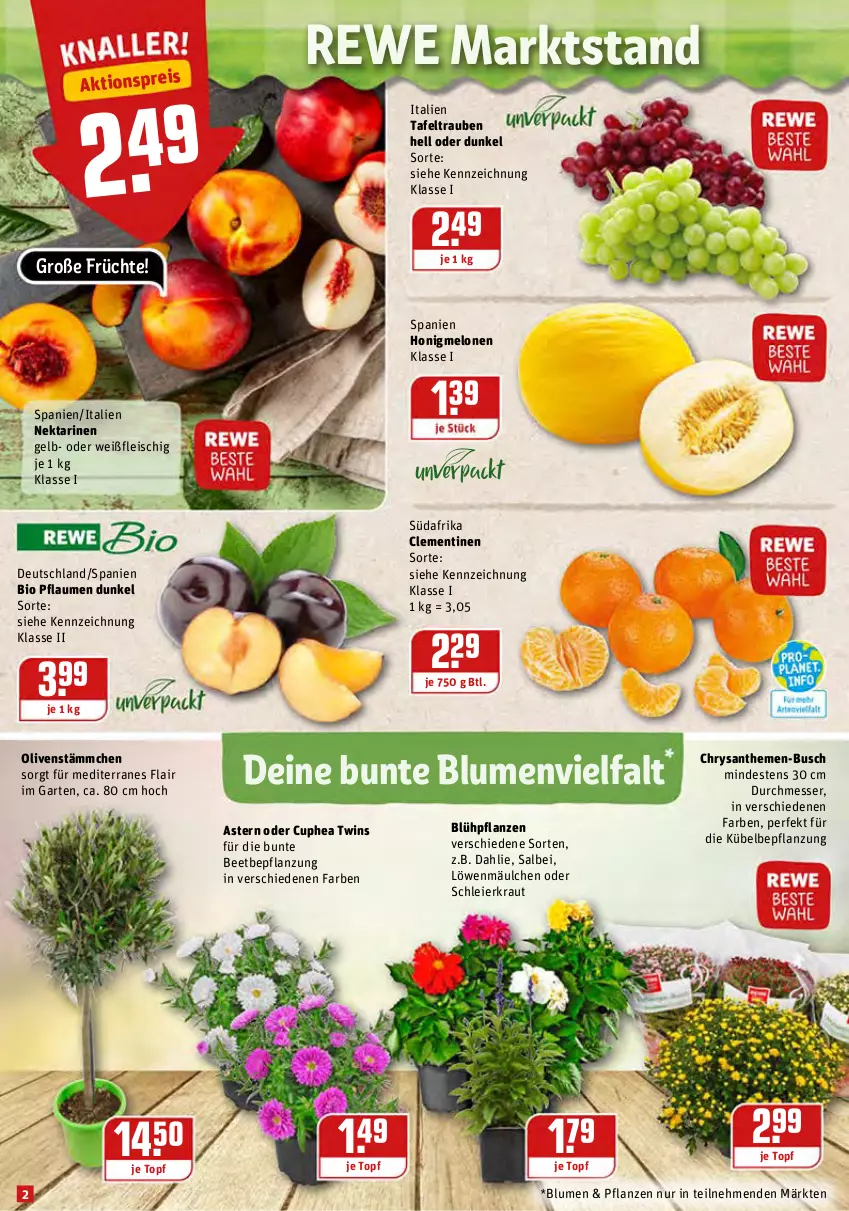 Aktueller Prospekt Rewe - Prospekte - von 02.08 bis 07.08.2021 - strona 2