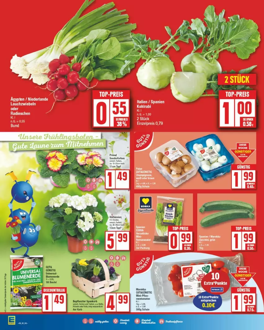 Aktueller Prospekt Edeka - Prospekte - von 24.02 bis 01.03.2025 - strona 6 - produkty: topf