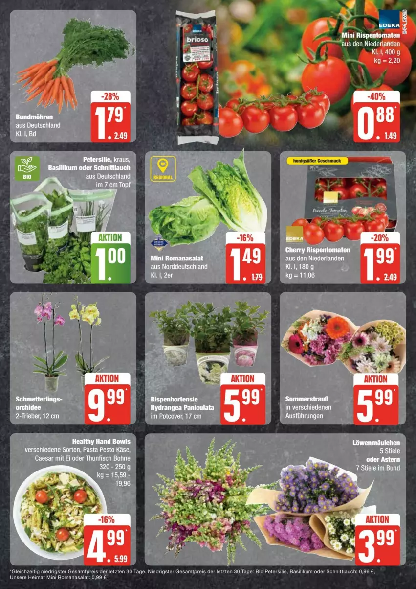 Aktueller Prospekt Edeka - Prospekte - von 15.06 bis 22.06.2024 - strona 7 - produkty: basilikum, bio, Brei, eis, hydrangea, Hydrangea paniculata, Käse, pasta, pesto, petersilie, reis, rispentomaten, Romanasalat, salat, schnittlauch, Ti, tomate, tomaten, ZTE